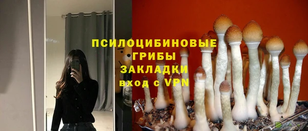 эйфоретик Абаза