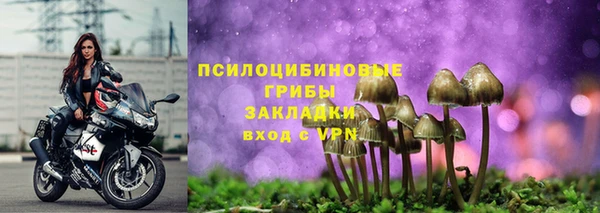 ГАЛЛЮЦИНОГЕННЫЕ ГРИБЫ Алзамай