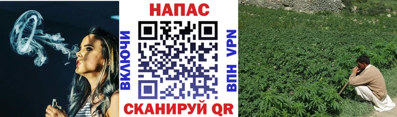 Бошки Шишки гибрид  Сафоново 